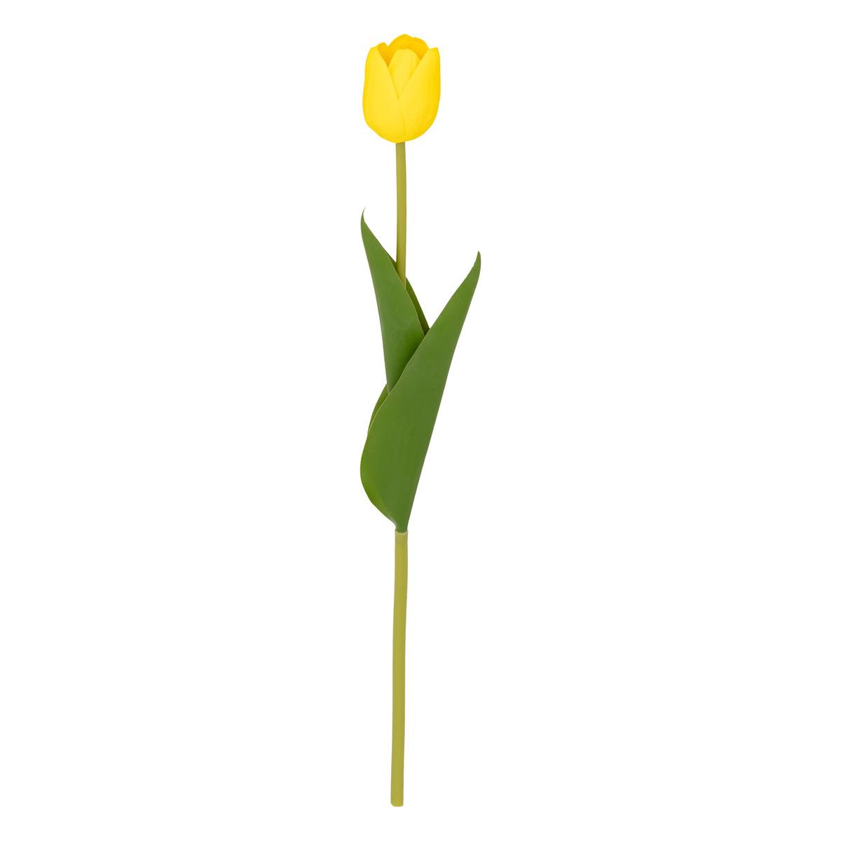 TIGE TULIPE MARTINE H.48CM