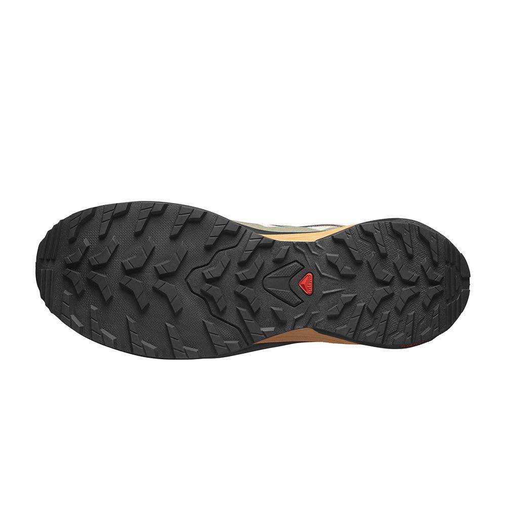 Salomon X-ADVENTURE GTX - Chaussures trail Homme safari/black/sugar almond