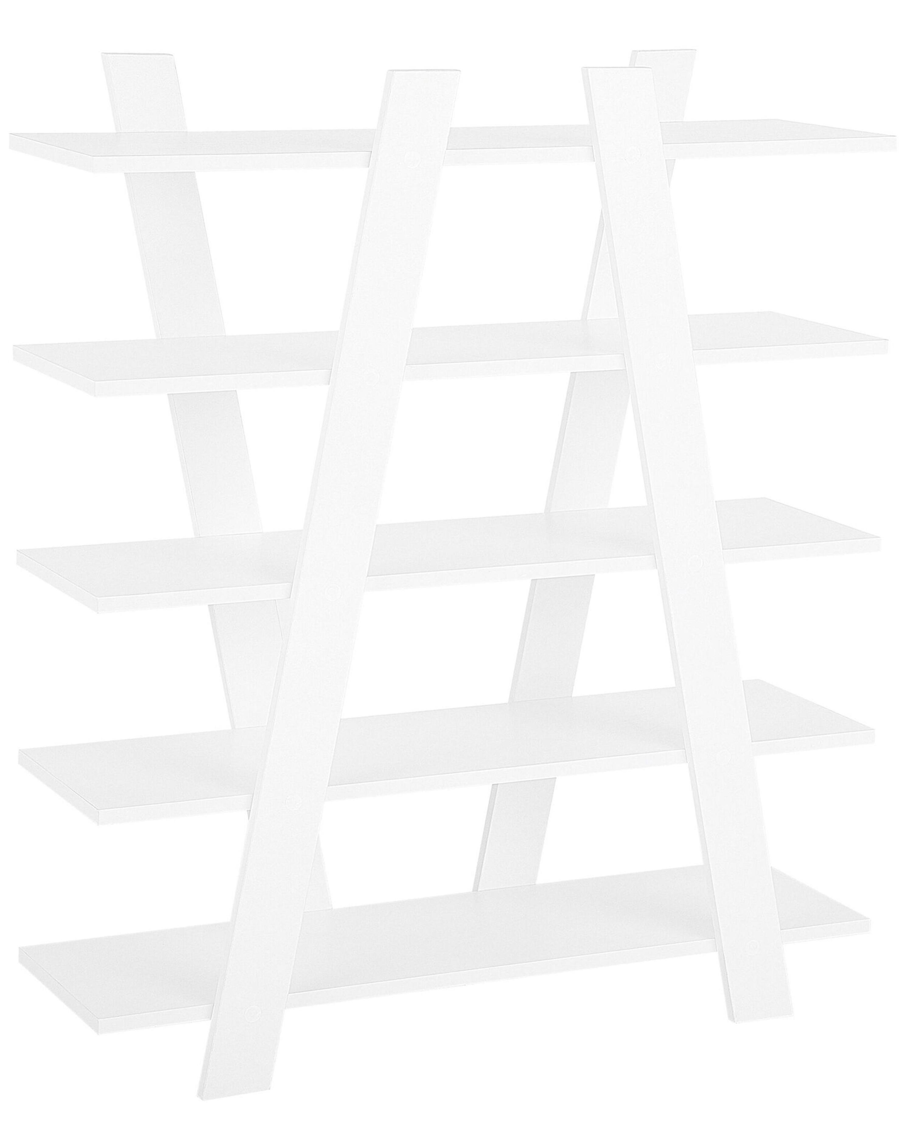 Opbergkast met 5 planken ESCALANTE 116 cm Wit