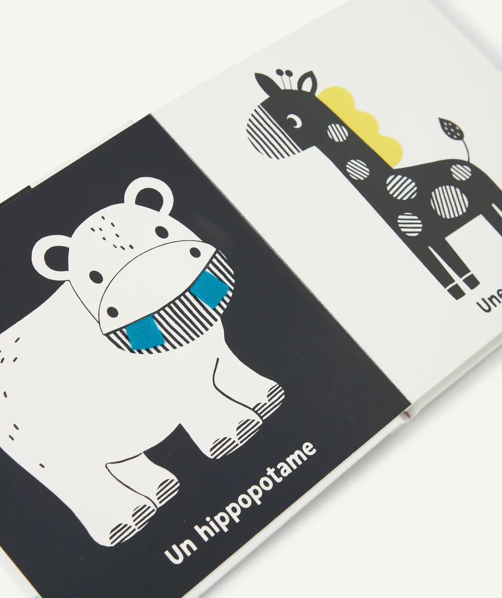 AUZOUMES PREMIERS FLAPS - LES ANIMAUX GÉANTS