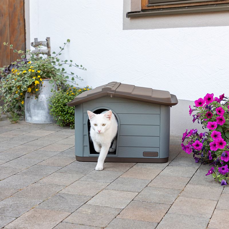 Maison Kerbl Pet Paola Eco