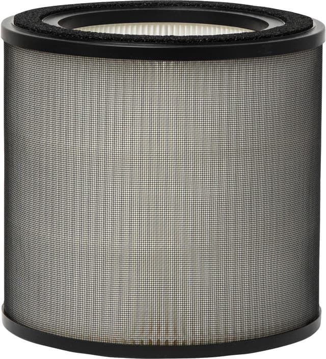 Electrolux BREATHE pollenfilter til luftrenser EFFBTH2