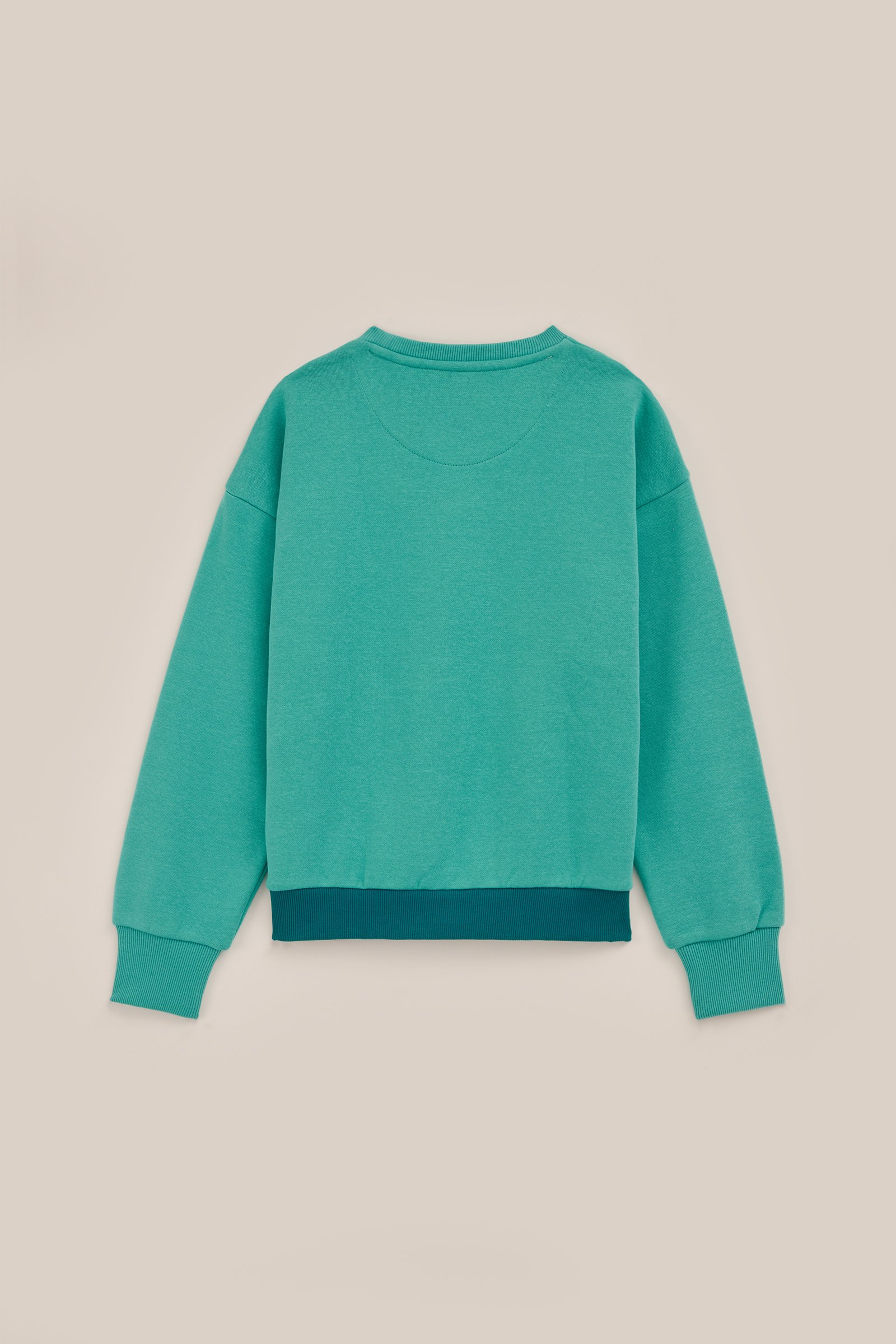 Meisjes sweater met colourblock WE Fashion Lichtgroen