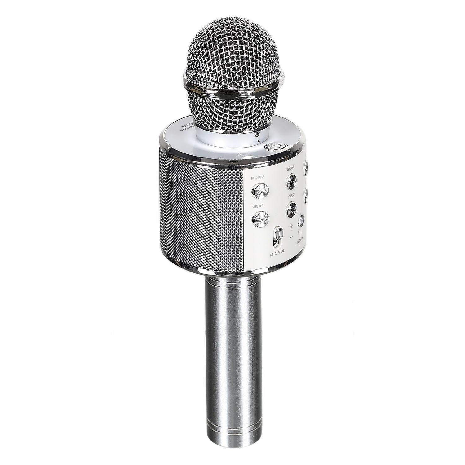 MICRO KARAOKE
