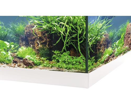 EHEIM aquastar 54 aquariumset met LED-verlichting, binnenfilter, verwarming, thermometer (zonder kast), wit, ca. 54 L, 60 x 30 x 30 cm