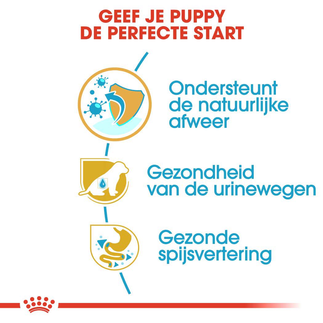 Royal Canin Dalmatian  Junior - Hondenvoer - 12 Kilogram - gevogelte
