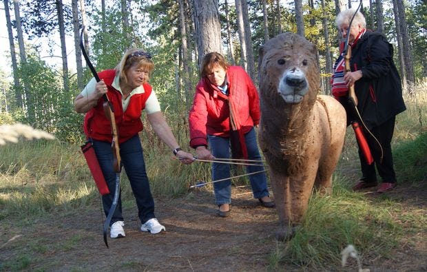 3D Bogenschießen und Waldklettergarten in Gänserndorf als Geschenk