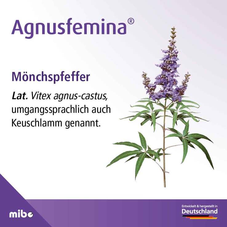 Agnusfemina 4 mg Filmtabletten , 60 St