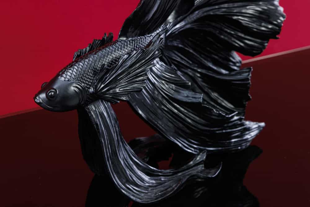 Design Deko Figur Kampffisch CROWNTAIL 35cm schwarz Betta Fisch Skulptur