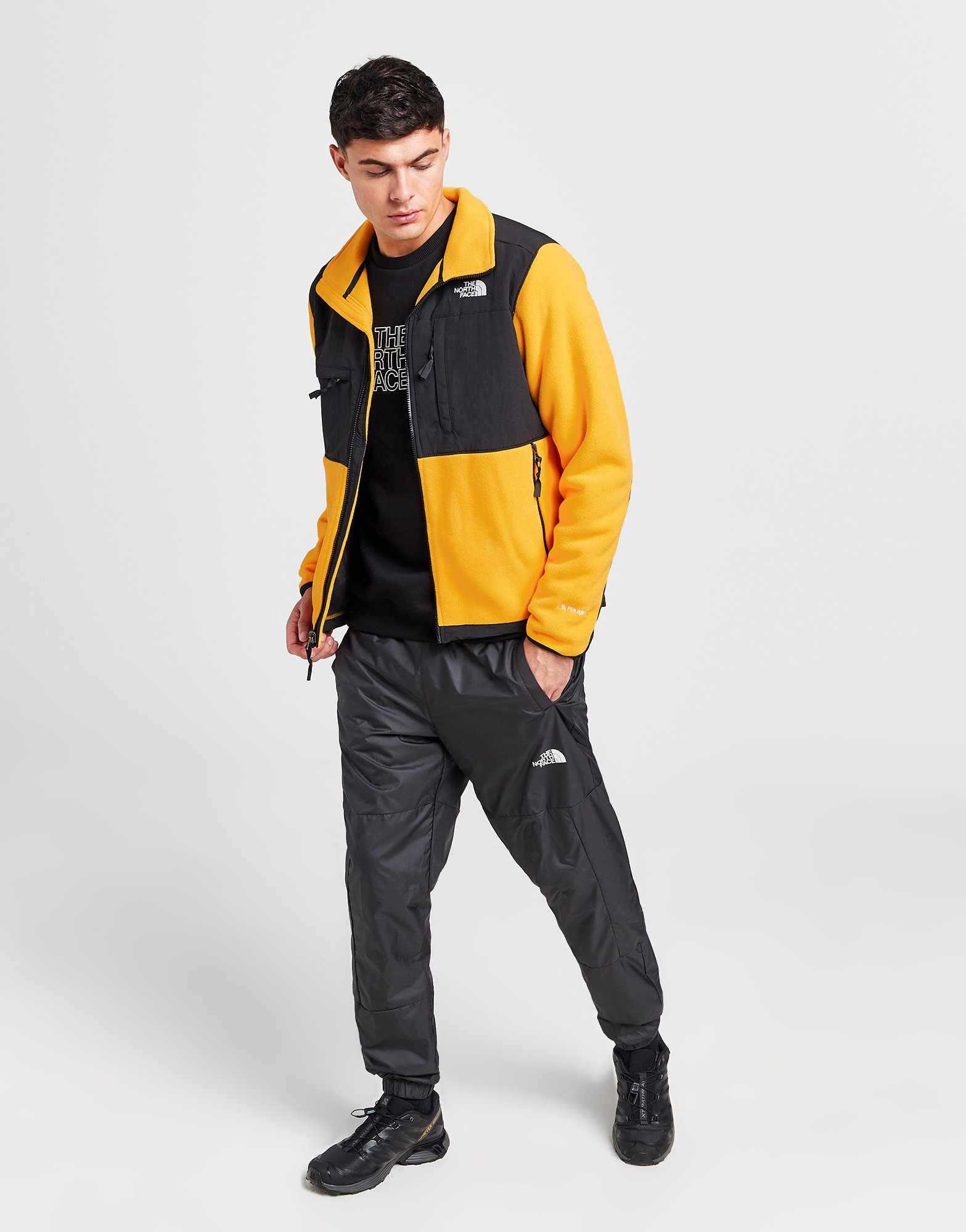 The North Face Veste Zippée Denali Homme