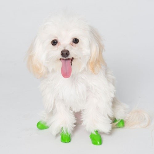 Botas para cães Pawz de borracha natural, verdes