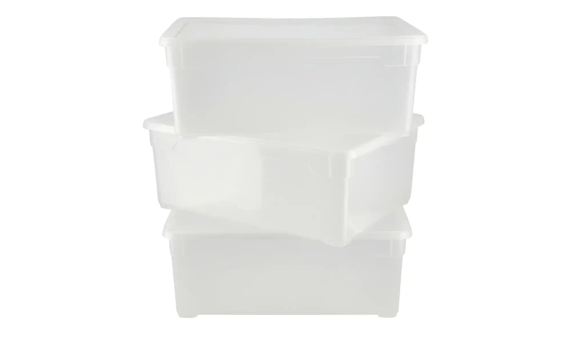 Rotho Aufbewahrungsbox, 3er Set