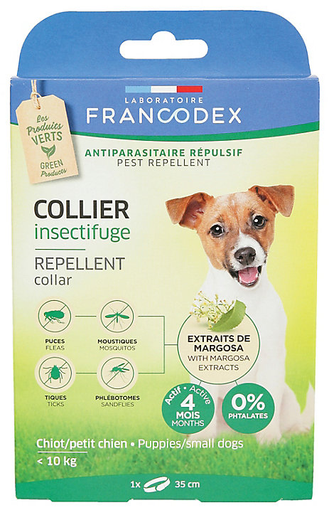 Collier insectifuge chiot