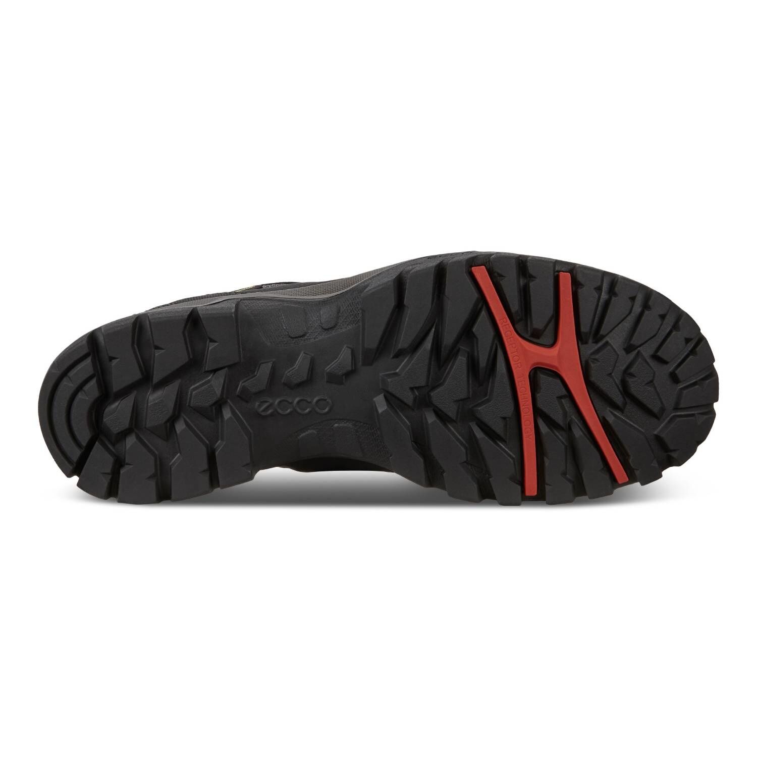 ECCO Damen Trekking – und Wanderschuh XPEDITION III Low Cut