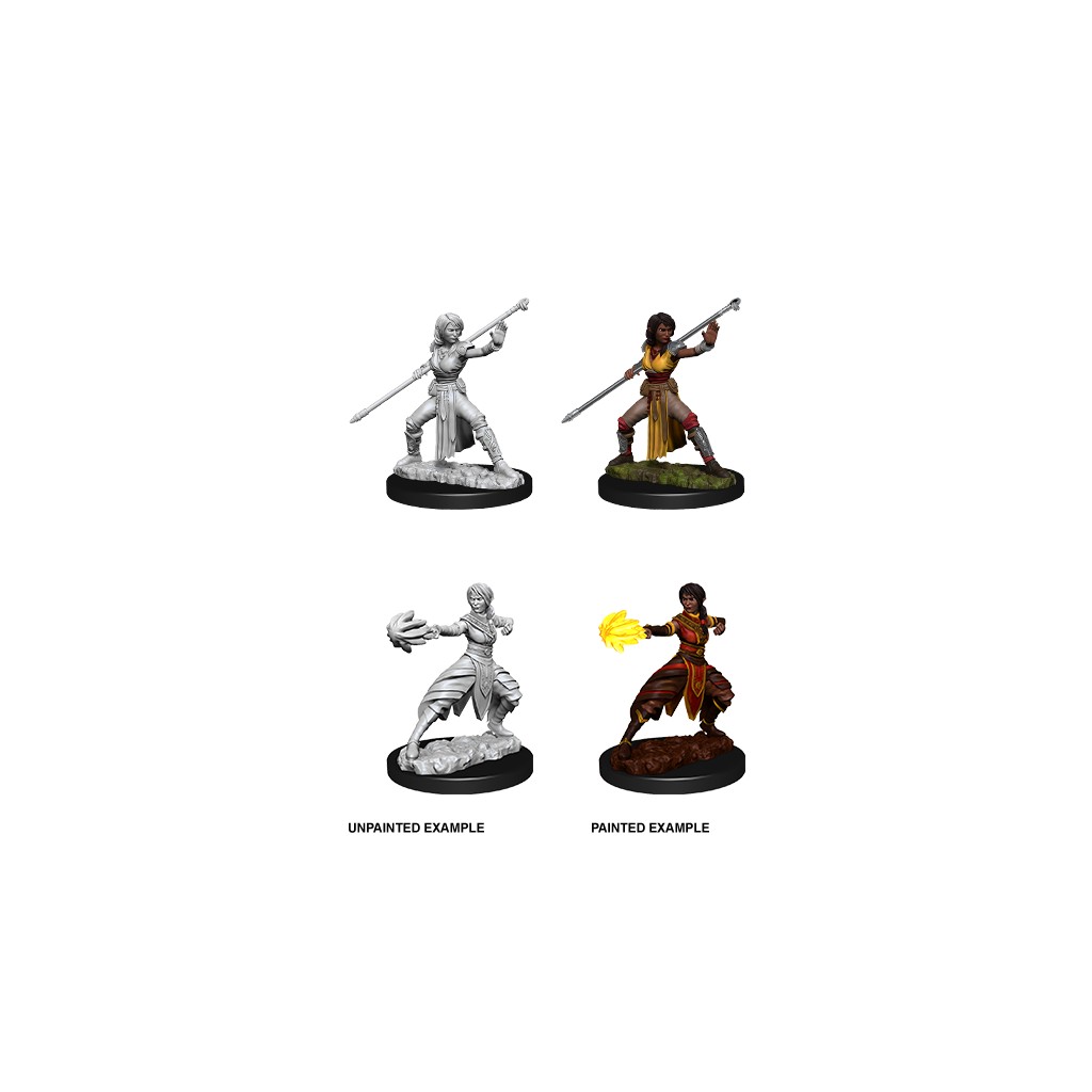 D&D Nolzur's Marvelous Unpainted Miniatures: Female Half-Elf Monk