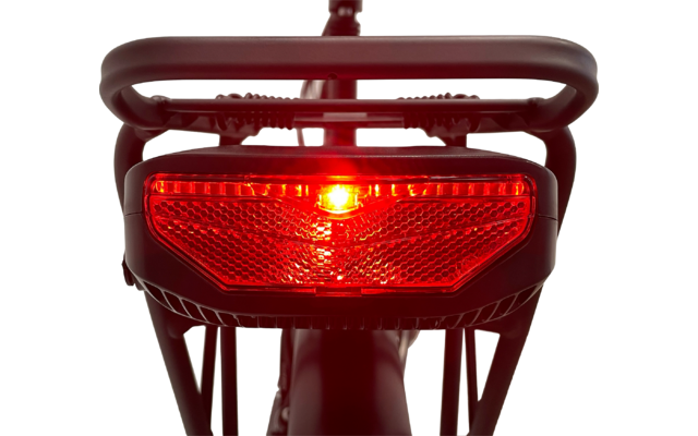 Blaupunkt Franzi faltbares E-Bike  20 Zoll 250W