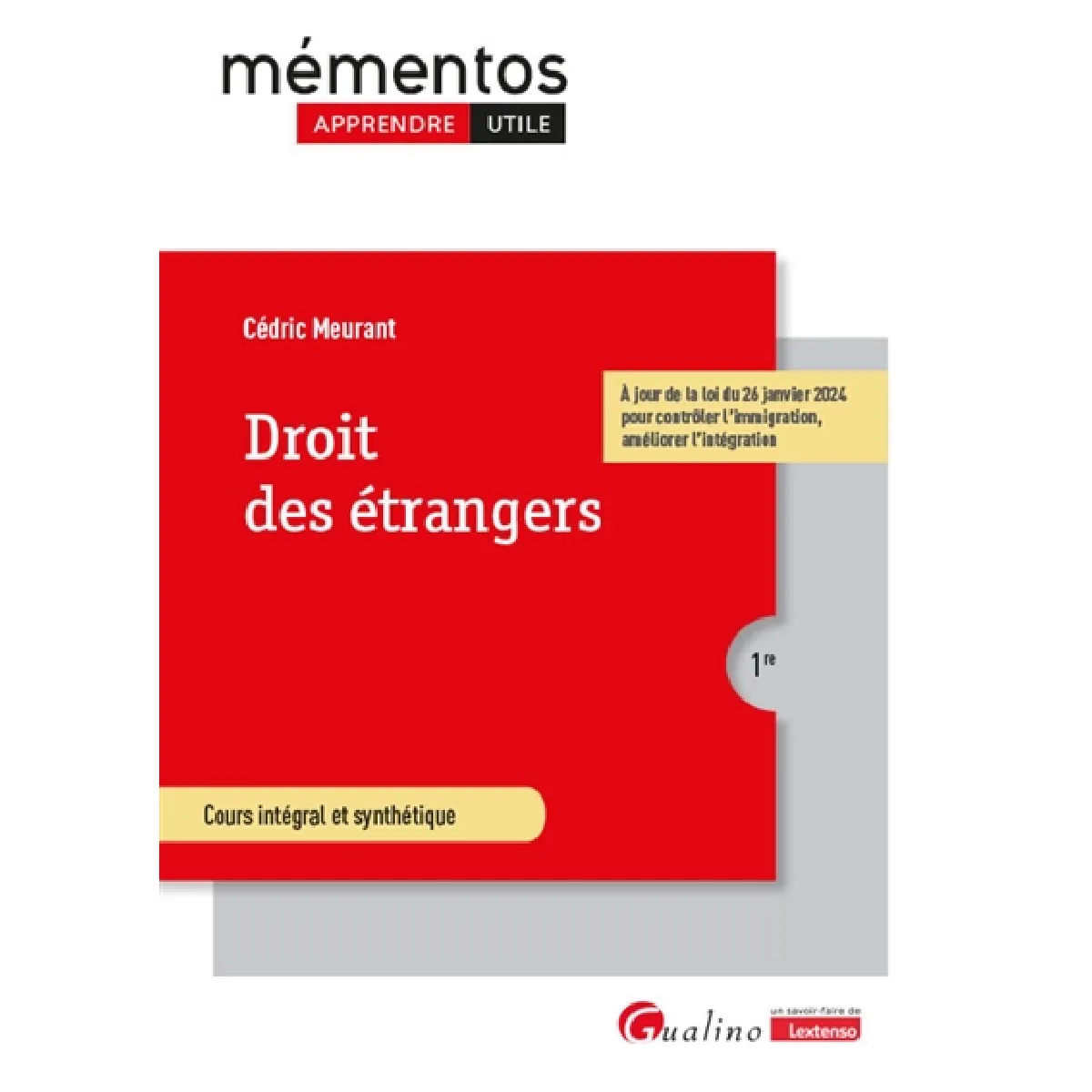 Droit des étrangers : cours intégral et synthétique