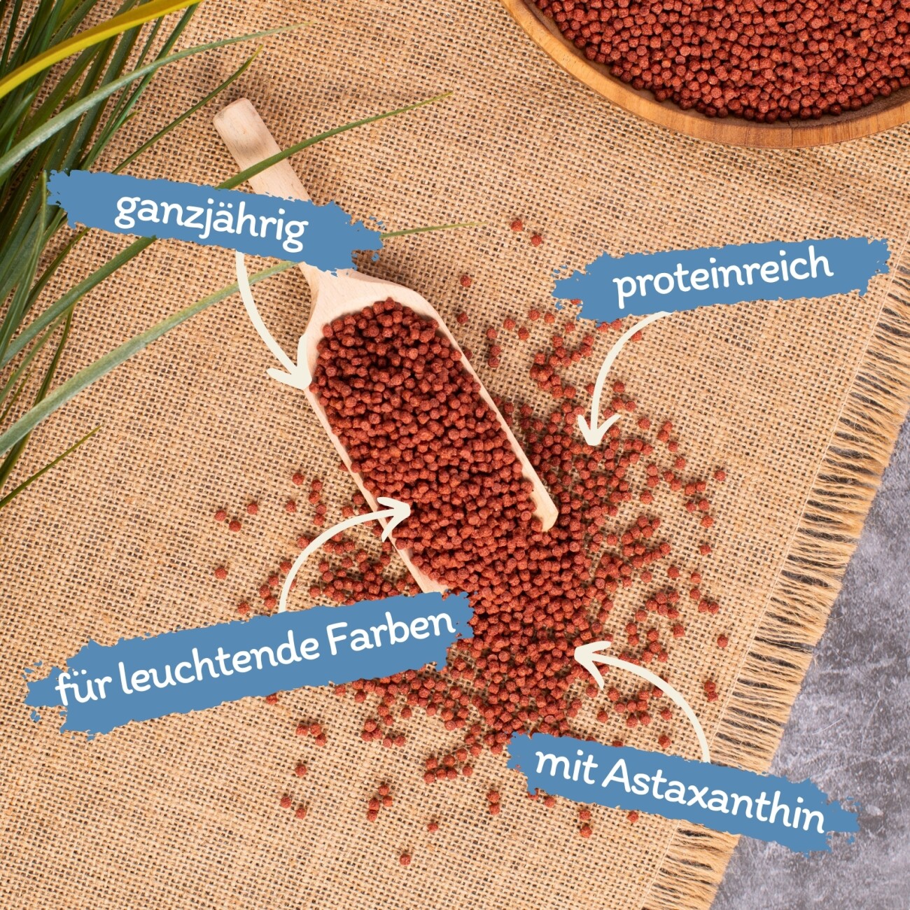 Lyra Pet Lyra Pond Pond Colour Astax Pellets im Eimer 10 l