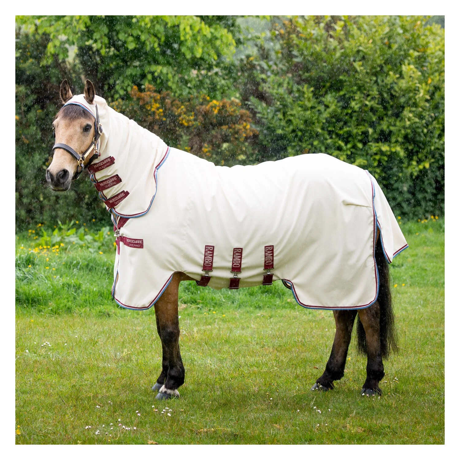 HORSEWARE Fliegendecke RAMBO Hoodie - sand/cherry/peach/blue