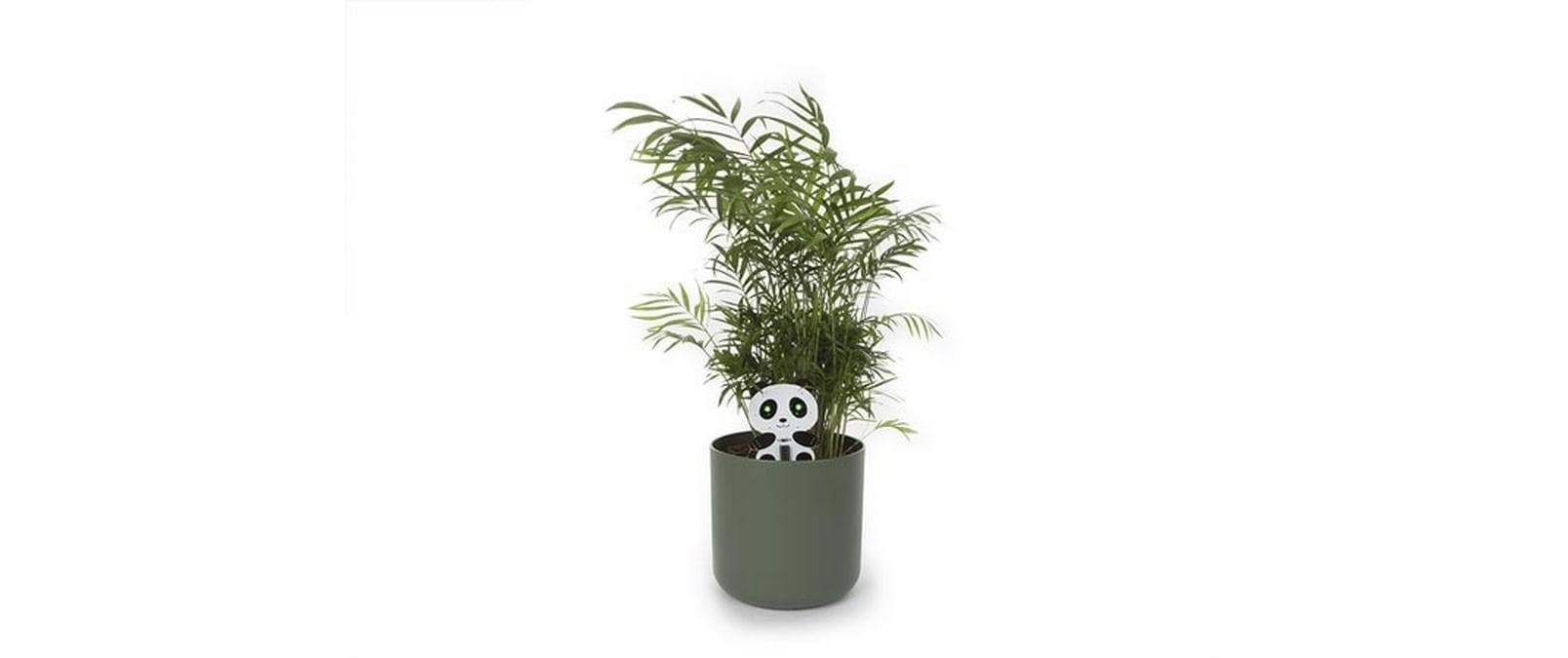 Bausatz Panda Pflanzen überwacherElektronikbausatz