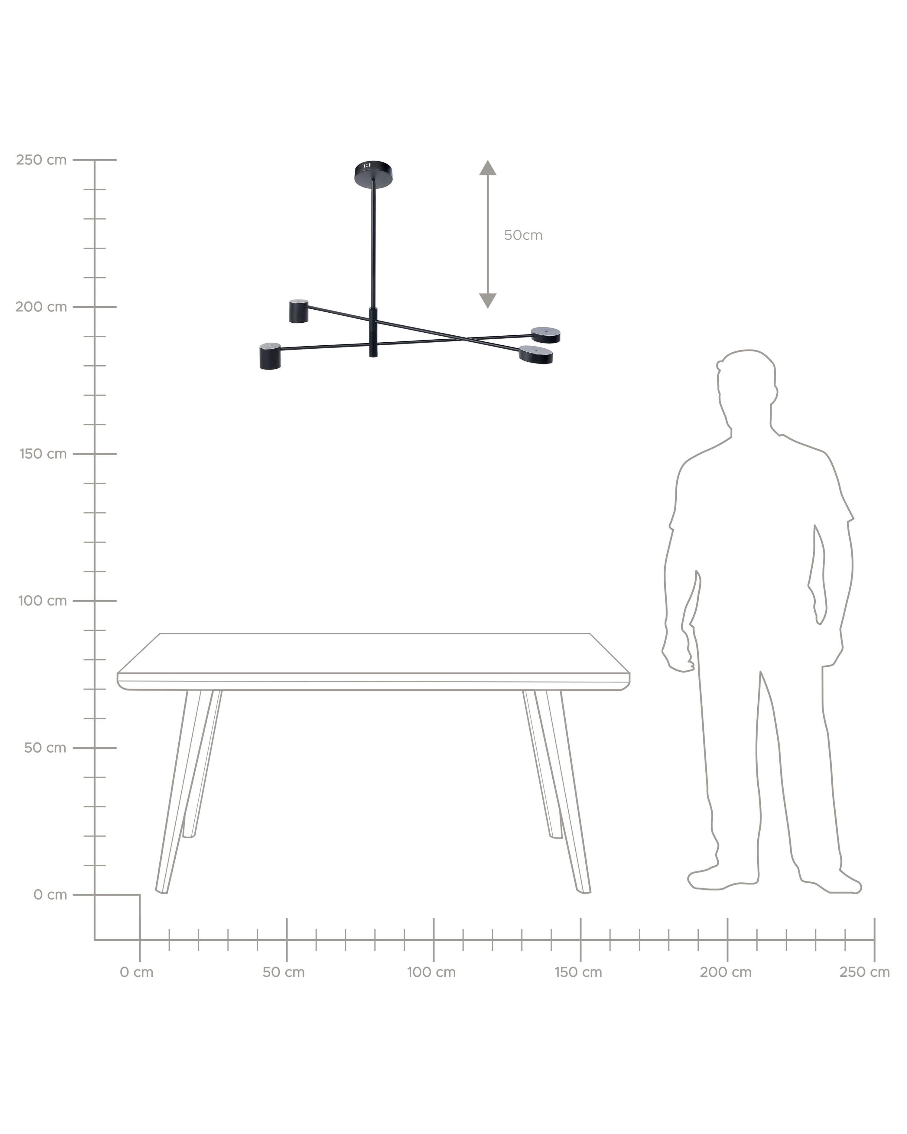 Hanglamp BANDON Metaal Zwart