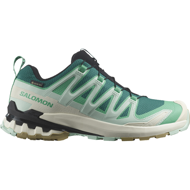 Salomon Damen Xa Pro 3D V9 GTX Schuhe