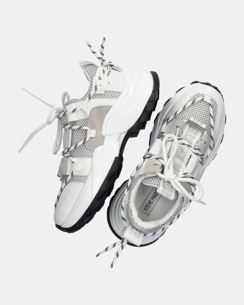 Steve Madden Tazmania Dad Sneakers  - wit