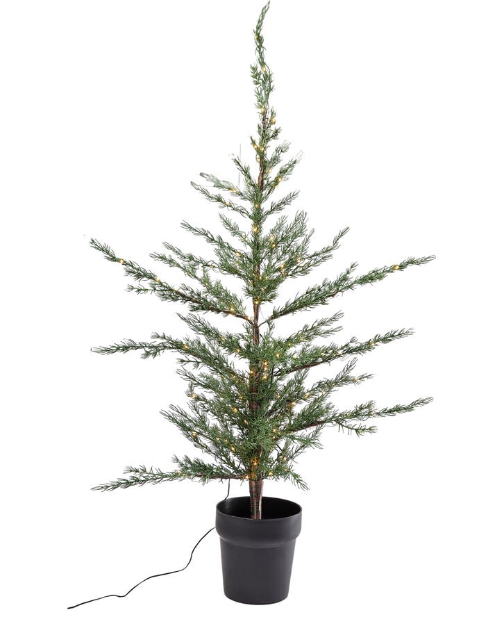 Sirius Milas træ, mellem Warm white