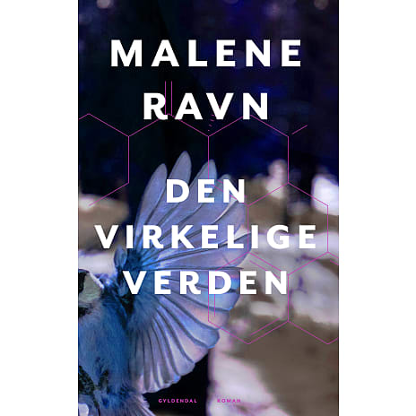 Den virkelige verden - Malene Ravn