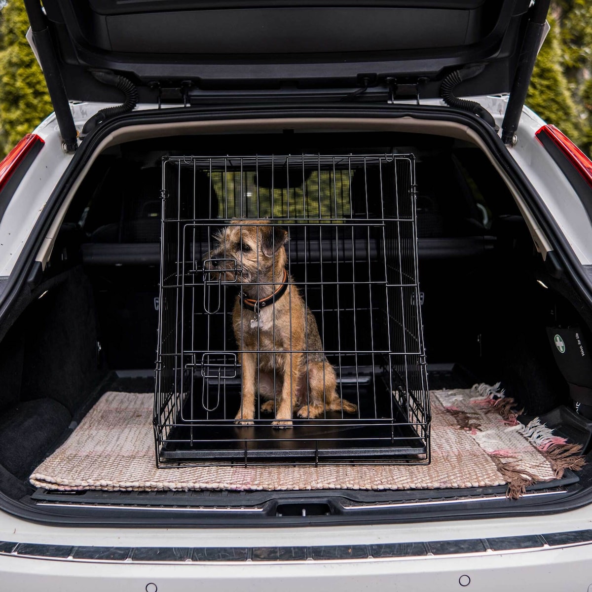 Trekker Hundebur Til Bil Hatchback XL