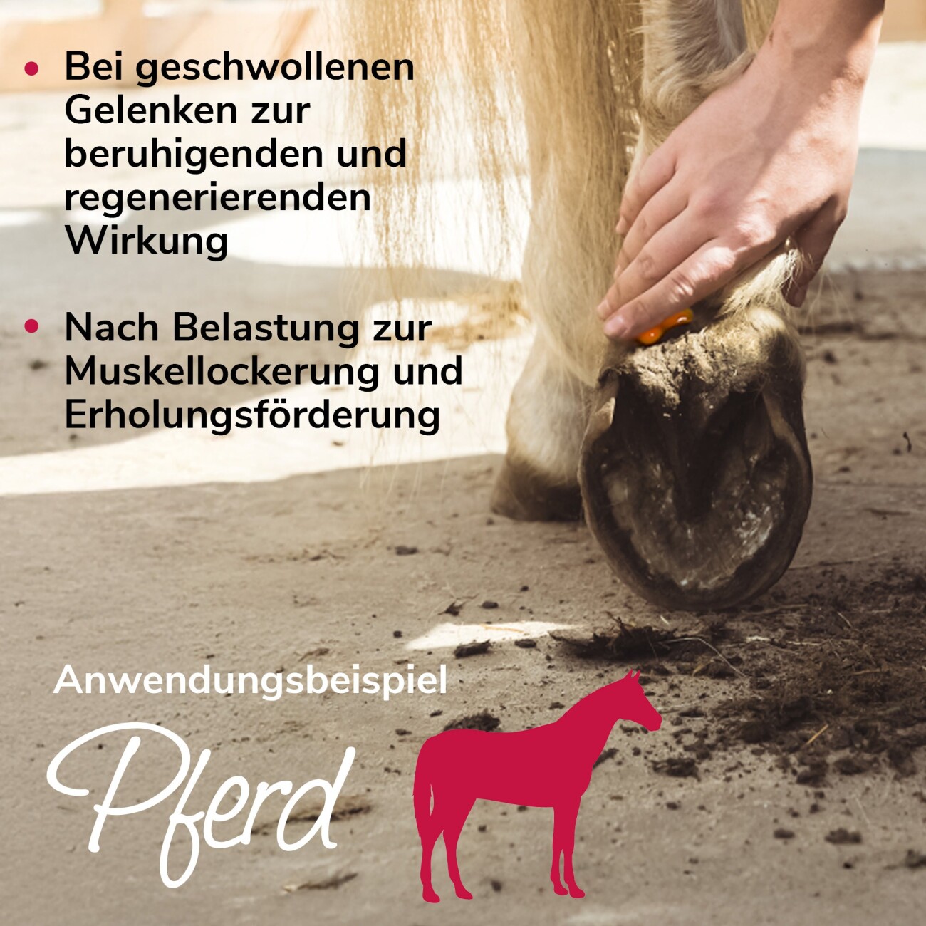 HerzensTier Gelenkwundergel 200ml