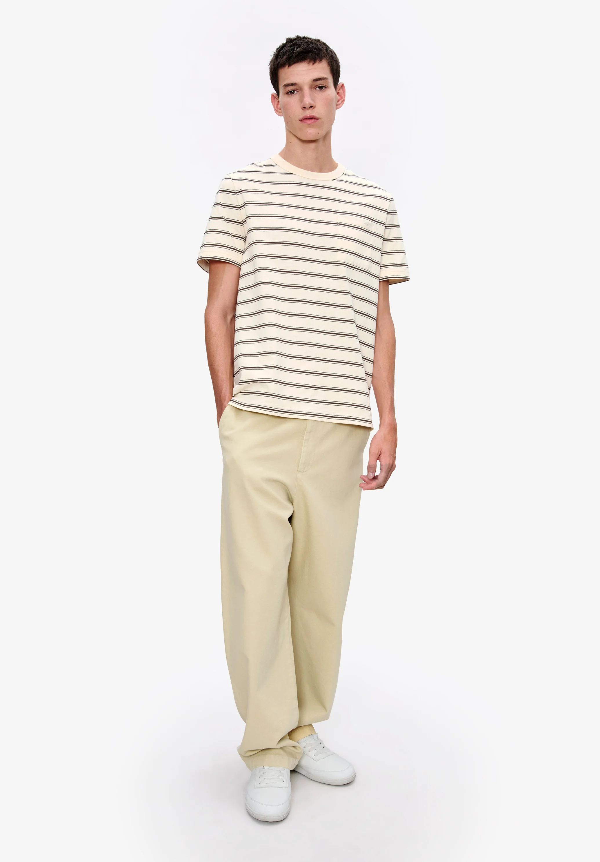 chino - Sable
