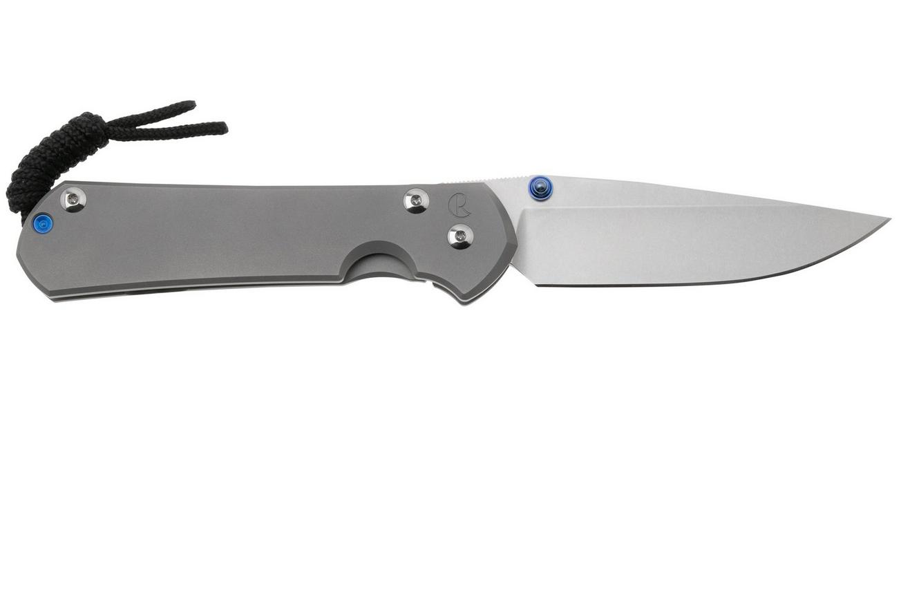 Chris Reeve Sebenza 31 Large Plain L31-1645 linkshandig zakmes