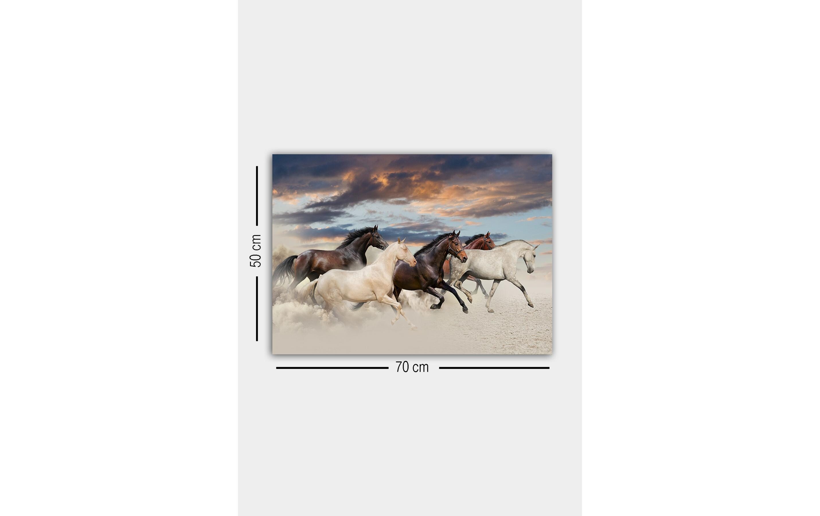Bild Pferde 50 x 70 cmDekorative Leinwandmalerei