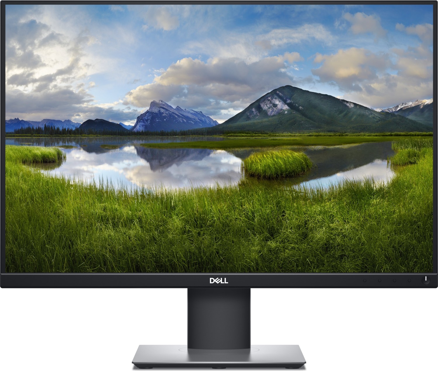 Dell P2421 | 24.1