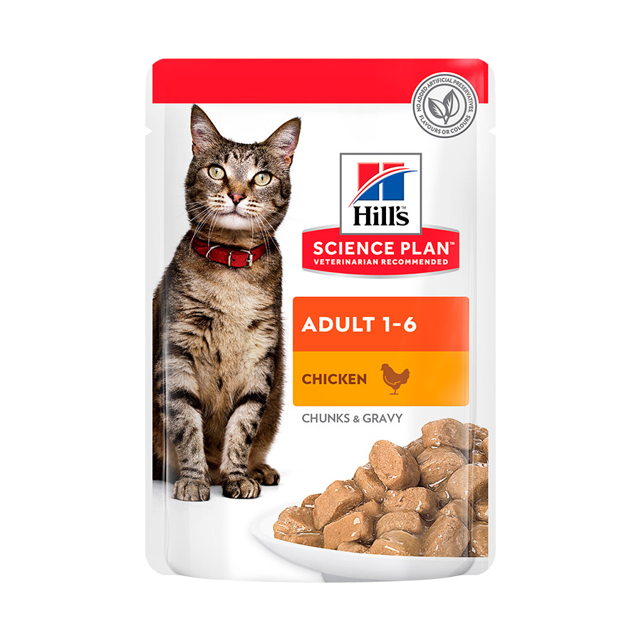 Sachê de Suplemento para Gatos Adultos Hill's Science Plan Sabor Frango