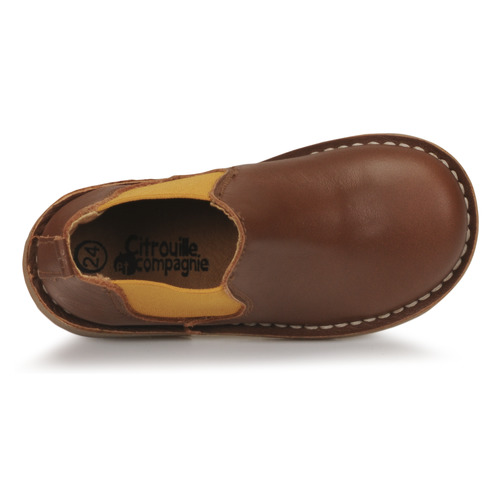 Citrouille et Compagnie - NEW 85 Cognac