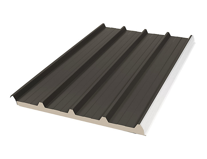 Panneau sandwich Bac Acier 300 x 100 cm