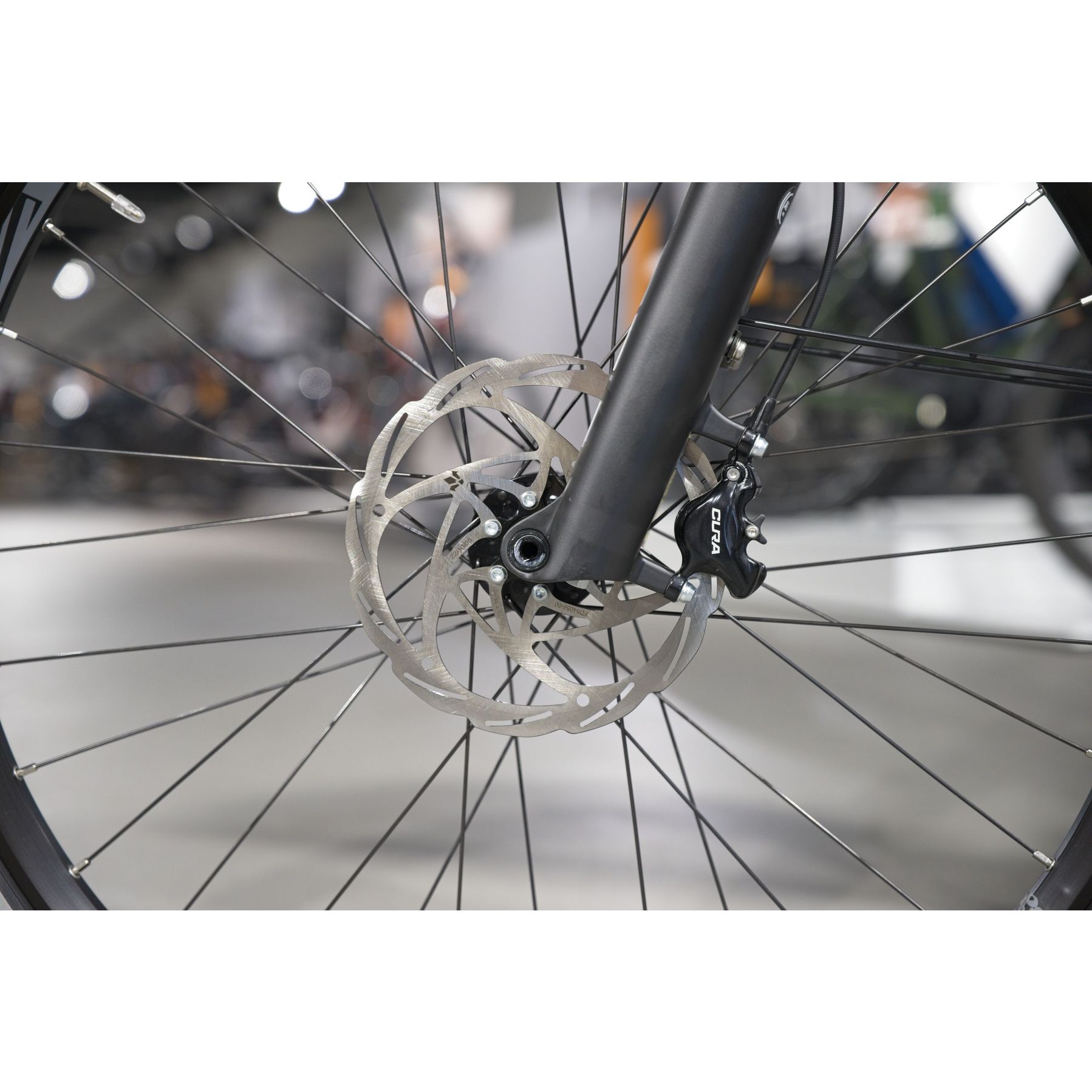 Koga Pace B10 Suspension 2025