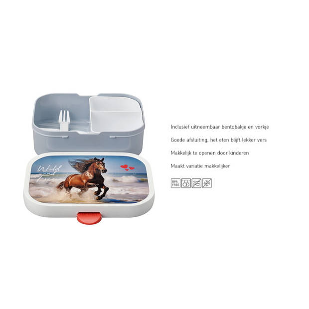 Lunchbox Campus - Wild Horse