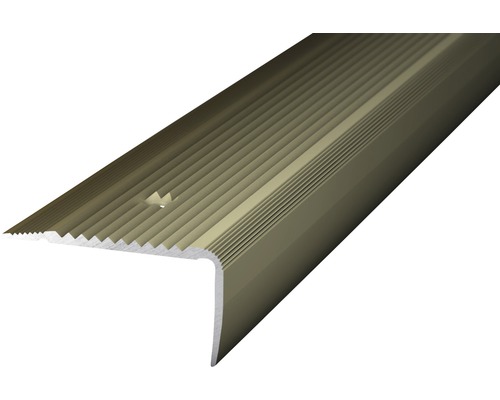Traprandprofiel, aluminium/roestvrij staal, mat, geperforeerd, 45 x 23 x 1000 mm