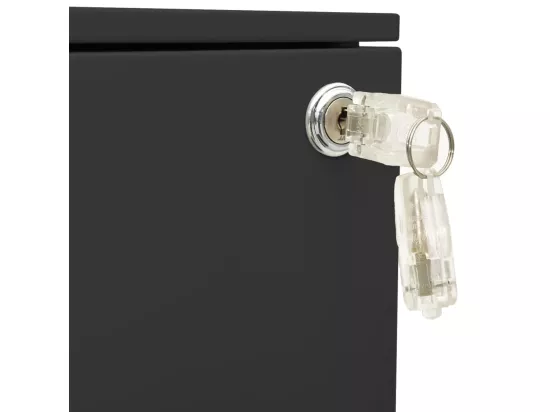 Classeur mobile Anthracite 39x45x60 cm Acier