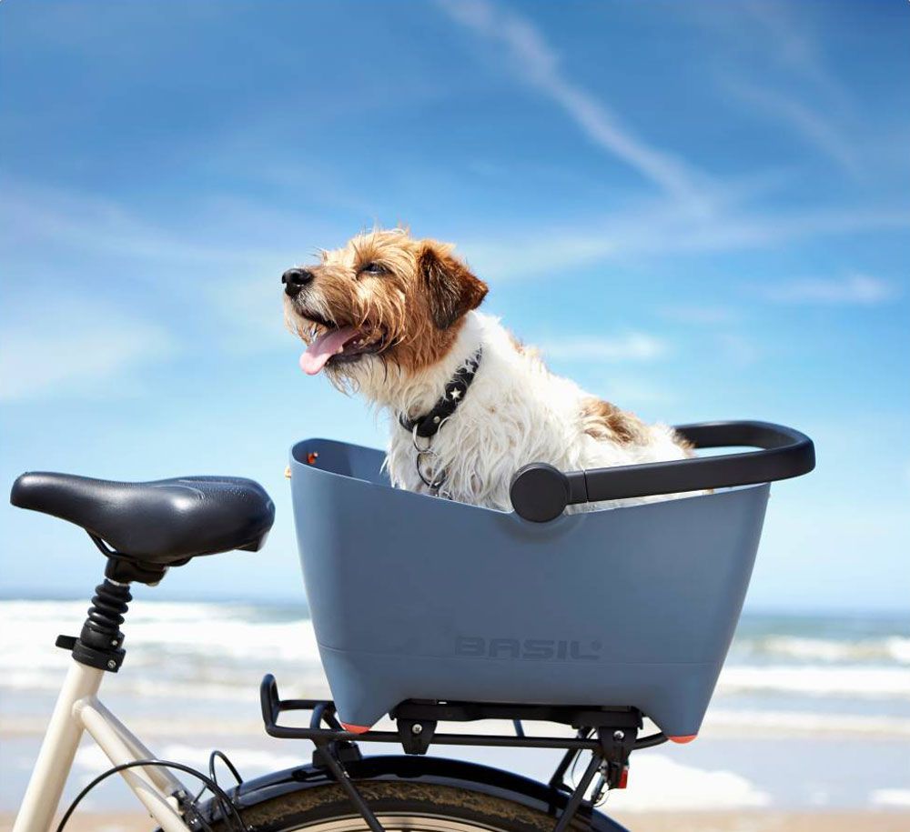 Basil Buddy MIK Hundefahrradkorb kaufen | Bike-Discount