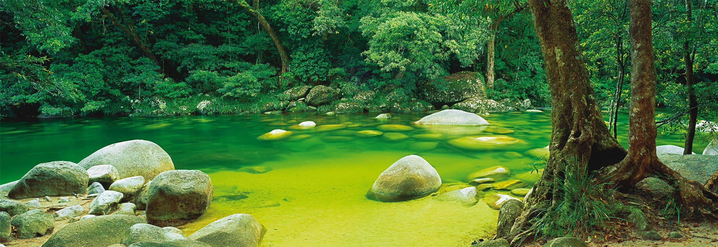 Mossman Gorge