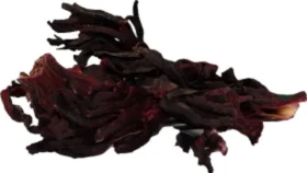 BOTANICA HIBISCUS FLOWER
