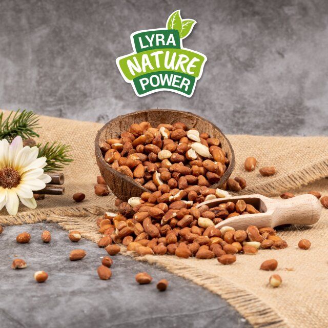 Lyra Pet® Erdnusskerne mit Haut
