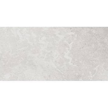 Vloertegel Eterna 60 x 119,8 cm keramiek grijs 1,44 m²