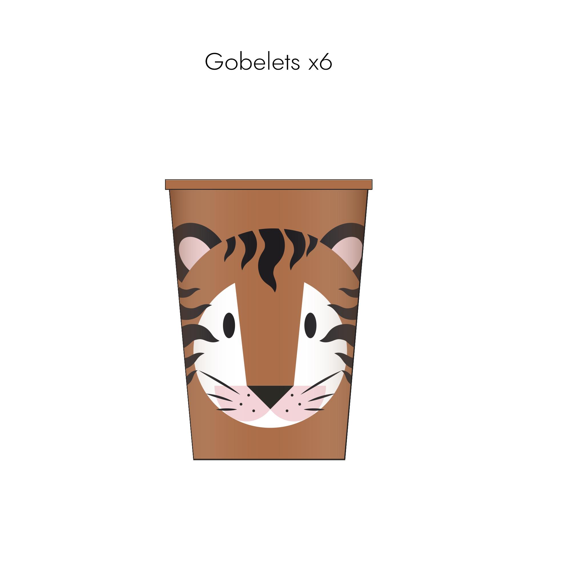 BOITE ANNIVERSAIRE SAVANE 55 PIECES