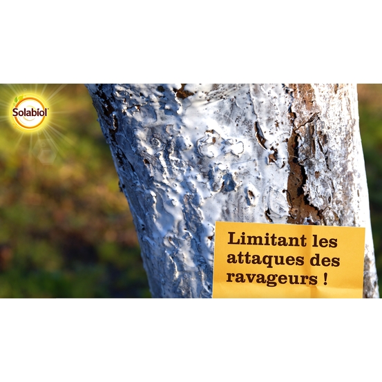 Blanc arboricole 1 litre Solabiol