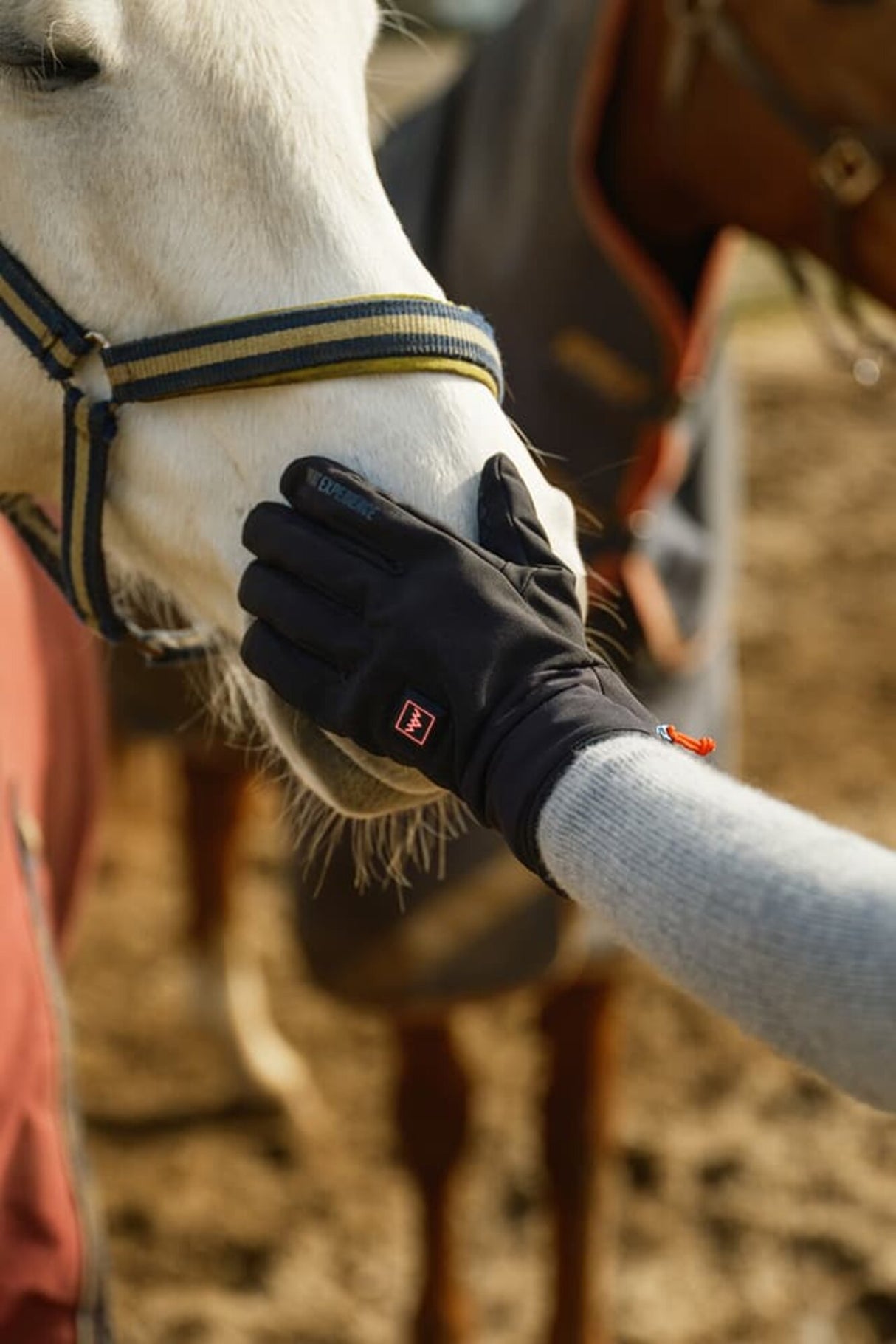Heat Experience<br>Heated Nordic Gloves